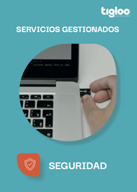 Hoja de Producto Sistemas Gestionados de Ciberseguridad