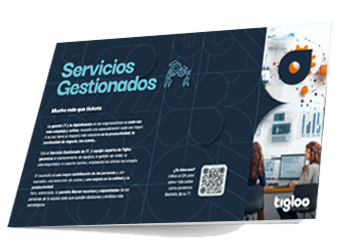 Servicios Gestionados TIGLOO